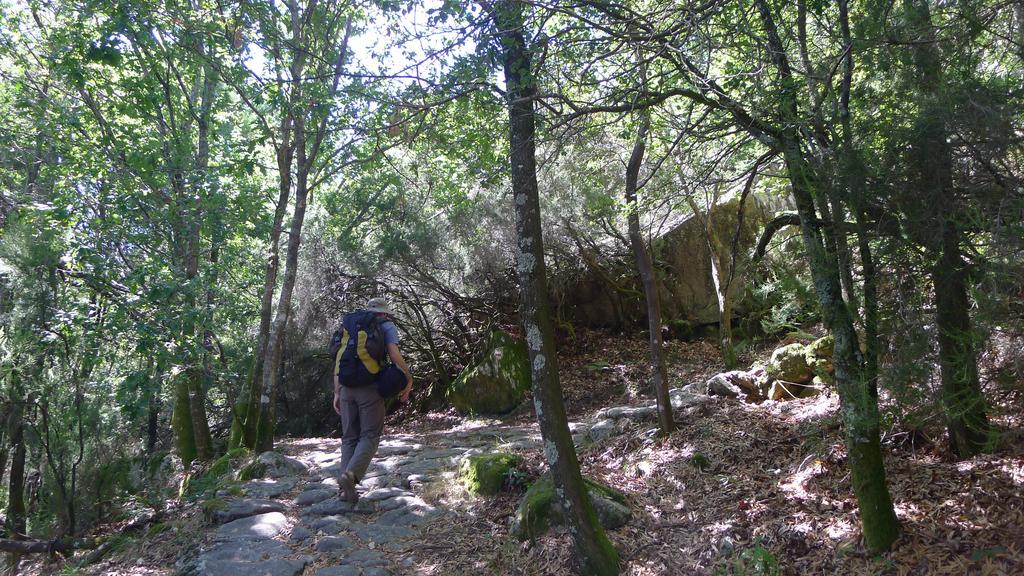 Villa Rio Tangil Dış mekan fotoğraf